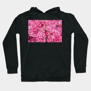 Pink Azalea or Rhodedendron bushes oil paint effect. Hoodie